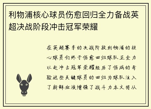 利物浦核心球员伤愈回归全力备战英超决战阶段冲击冠军荣耀
