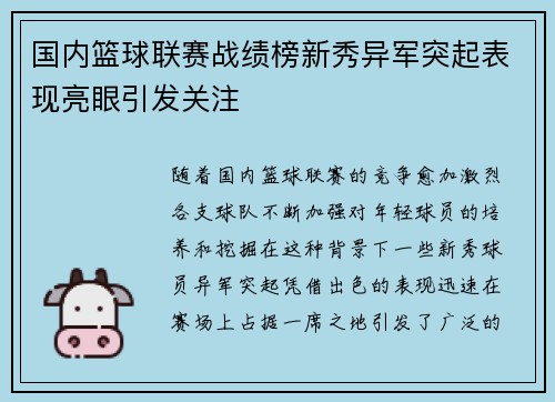 国内篮球联赛战绩榜新秀异军突起表现亮眼引发关注