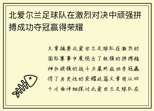 北爱尔兰足球队在激烈对决中顽强拼搏成功夺冠赢得荣耀