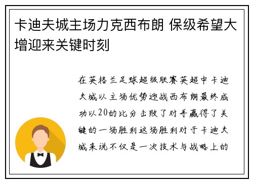 卡迪夫城主场力克西布朗 保级希望大增迎来关键时刻